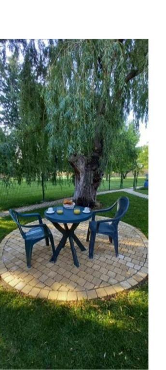 Logement Lumineux, Entierement Renove Avec Jardin Caumont-sur-Durance Exterior foto